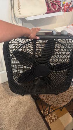 Fan