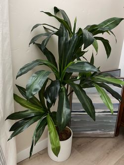 Cute faux plant 3’8 tall with ceramic pot