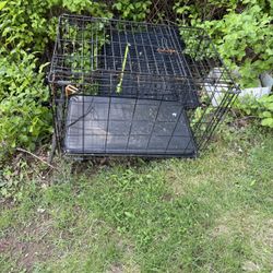  Free dog cage 30x21x19H