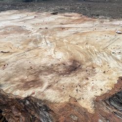 Massive 5 Ft Wide X 9 Ft Long Silver Maple Slab