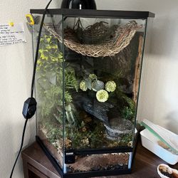 Crested gecko enclosure 