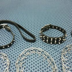 Dog Collars
