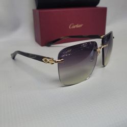 Cartier ELONGATED C Sunglasses 