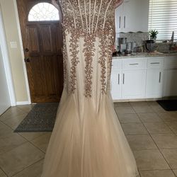 Champagne Color Elegant Dress