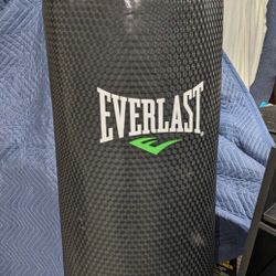 Everlast Punching Bag