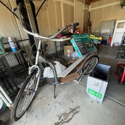 Schwinn Push Scooter 