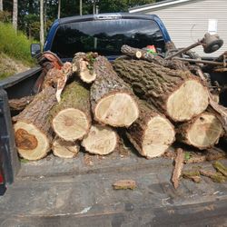 Locust Posts 