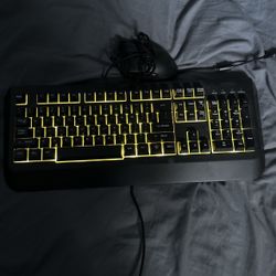 Keyboard and mouse 
