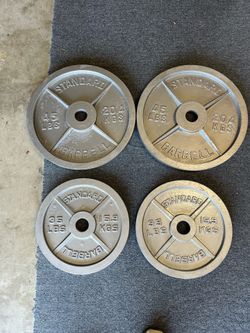 35 and 45 lb Olympic Weights (160 lbs)
