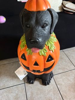Black Labrador Halloween Dog w/ Pumpkin Costume LED 2025 Home Depot 2.5 Ft