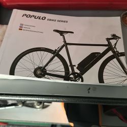 Populo E-bike 
