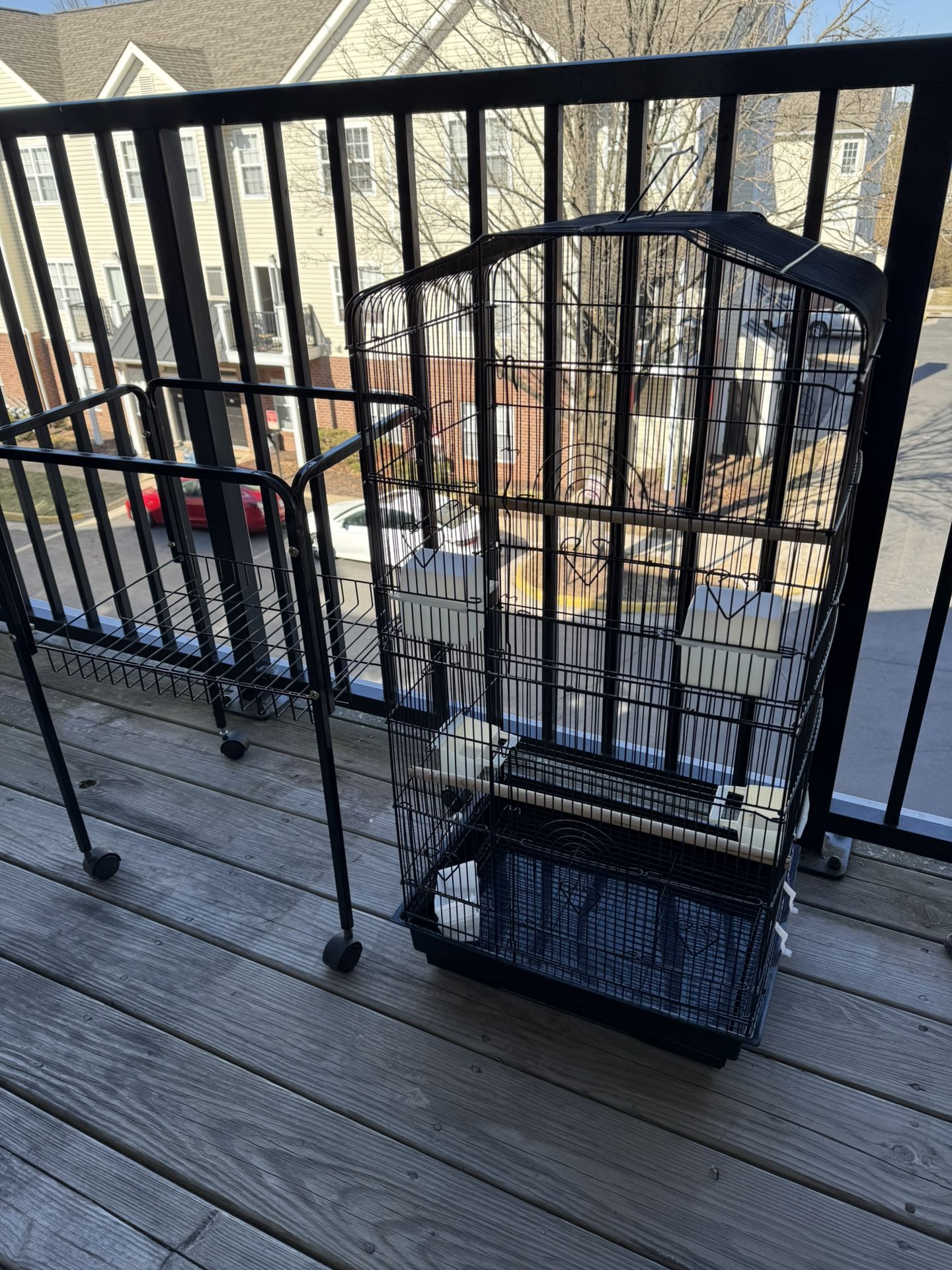 Bird Cage