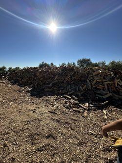 Firewood