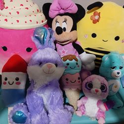 Stuffed Animals And Squiashmallow 