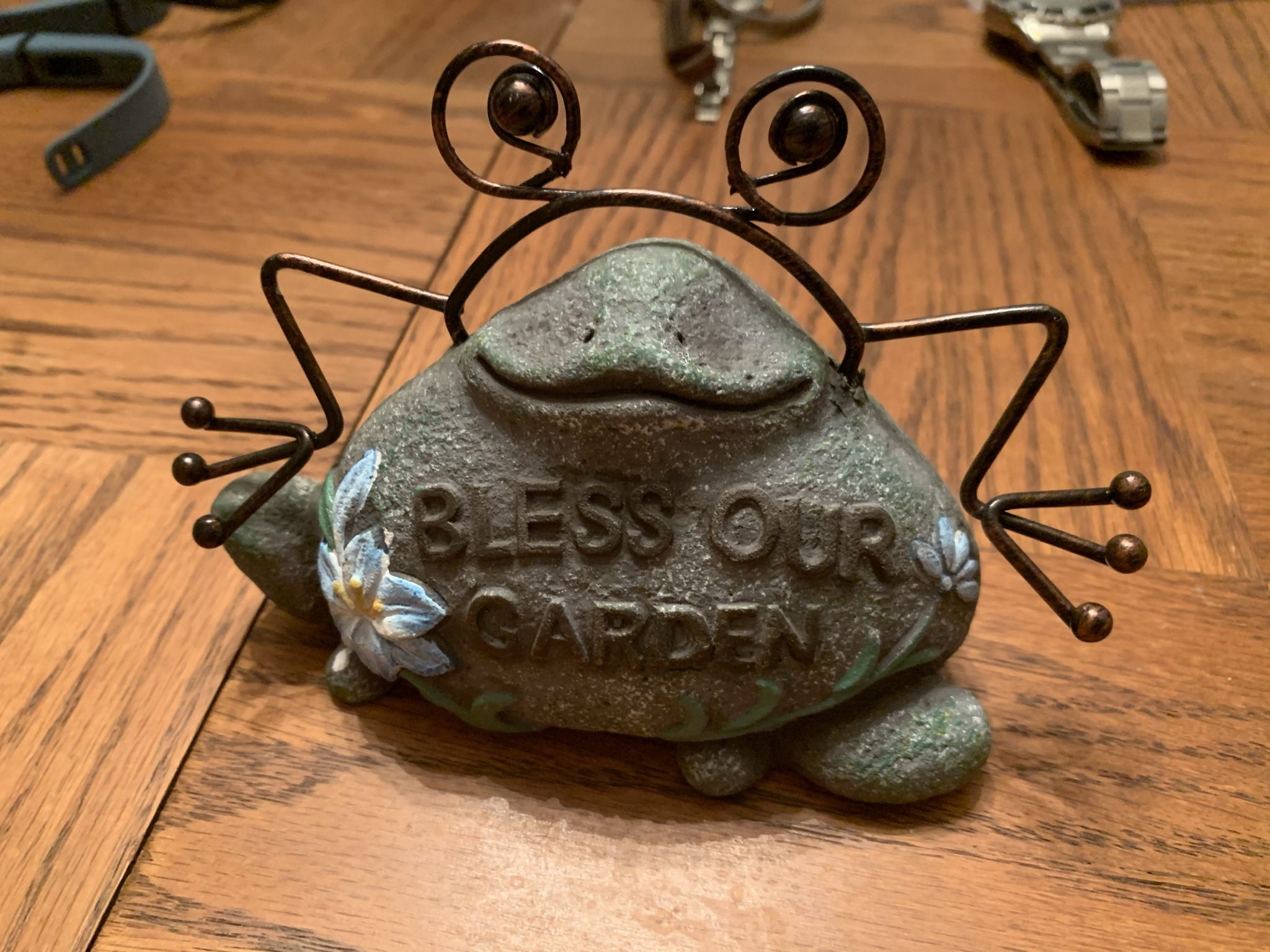Garden Frog
