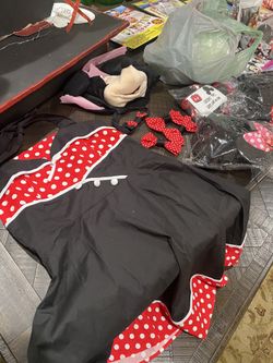 Minnie Mouse And Safari Decorations 