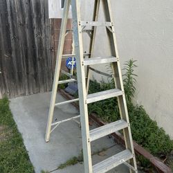 6 Foot Fiberglass Ladder
