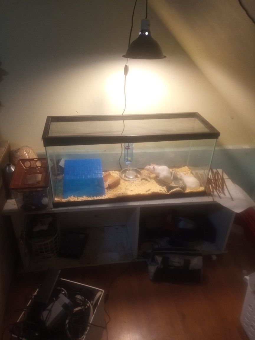 75-90 Gallon Tank
