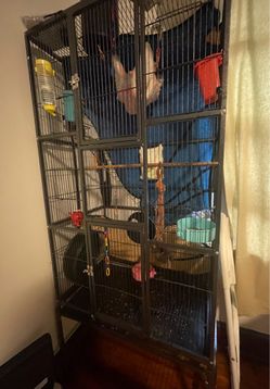 Cage - Free