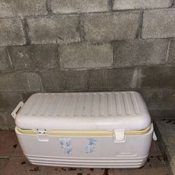 Cooler