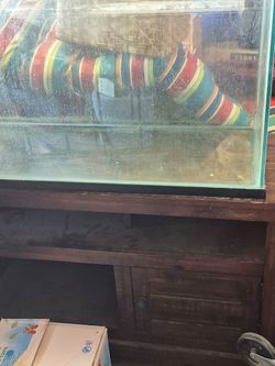 120 gal fish tank new filter