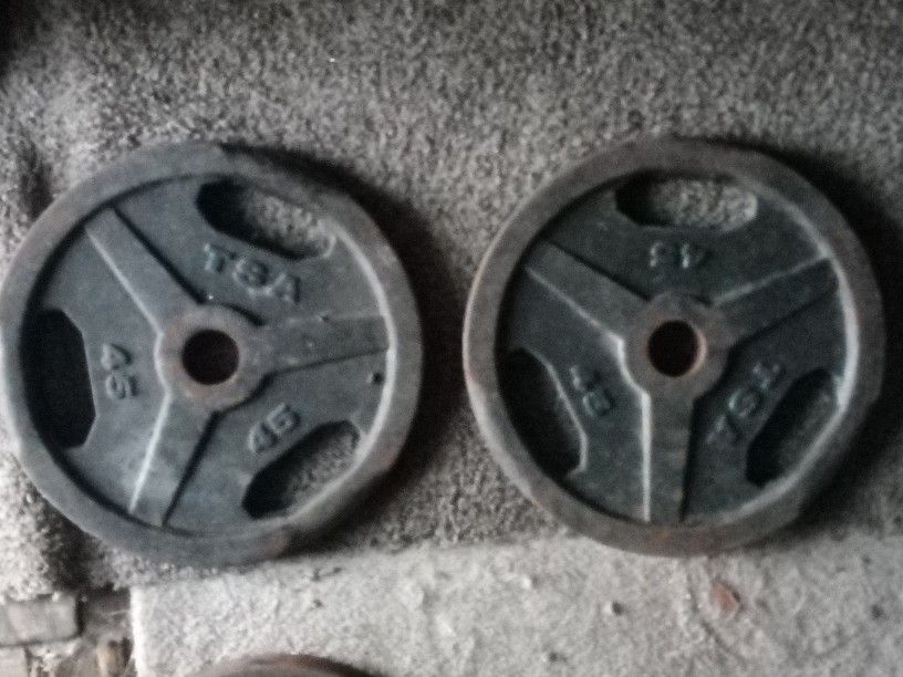 TSA Weight Plates 45Lbs × 2 = $120