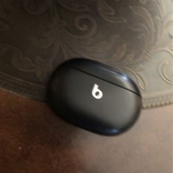 Beats Studio Earbud Case