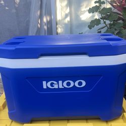 Igloo Cooler with Carry Handle – Used – Clean  Igloo cooler in good used condition. Clean inside,