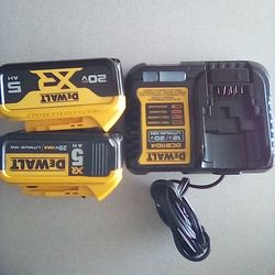 2 Dewalt XR 5ah