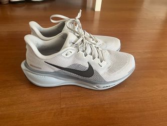 Nike pegasus 41