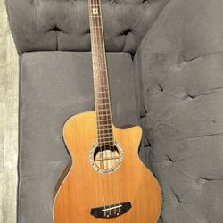 Bajoloche/ Acoustic Bass Michael Kelly