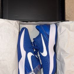 Kobe Dodgers