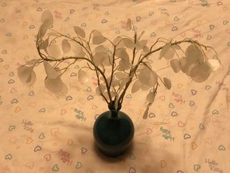 Plant decor in vase