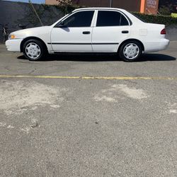 Corolla 