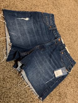 Women’s shorts size 10