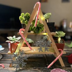 Holiday Tree Shelf - Succulents- Customizable