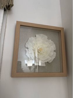 Frame
