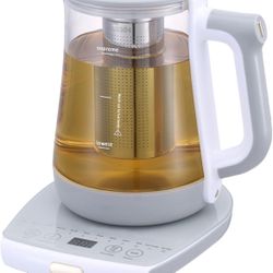 Glass Portable Tea Kettle