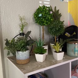 Fake plants 