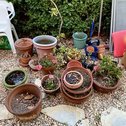 🪴 LOTS OF POTS! 🪴 MANY SIZES - For Garden, Yard, Patio - Potted Flowers, Plants- Ceramic, Terracotta - Small/Medium/Large Pots