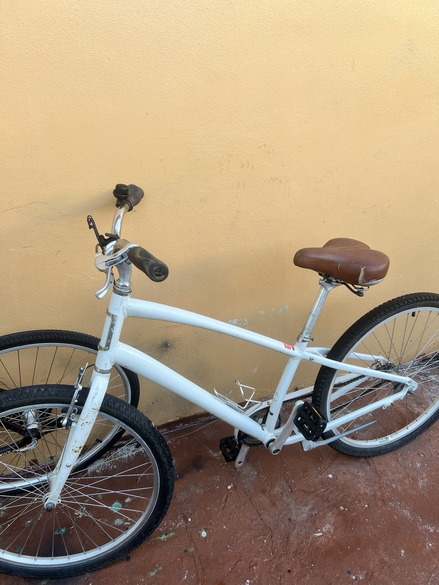 Adult Bike