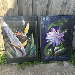 Pair Of Brian Davis Framed Posters Heavy Cactus Orchid And Bird Of Paradise 
