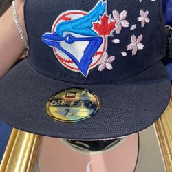 Toronto Blue Jays