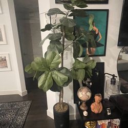Faux Fig Tree