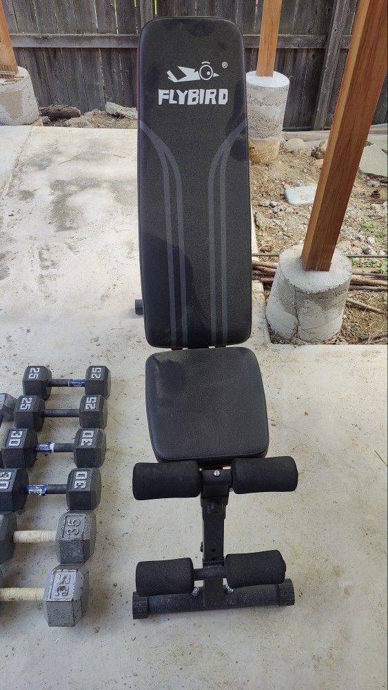 Dumbbells and Bench