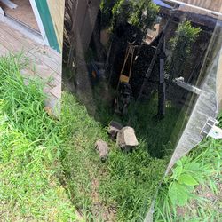 Toyota Sienna Door Glass