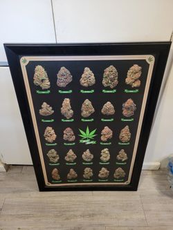 LARGE BEST BUDS
FRAMED PRINT