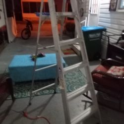 LADDER