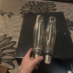 (2) 1000 Watt Light Bulbs