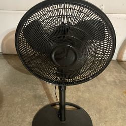 Fan